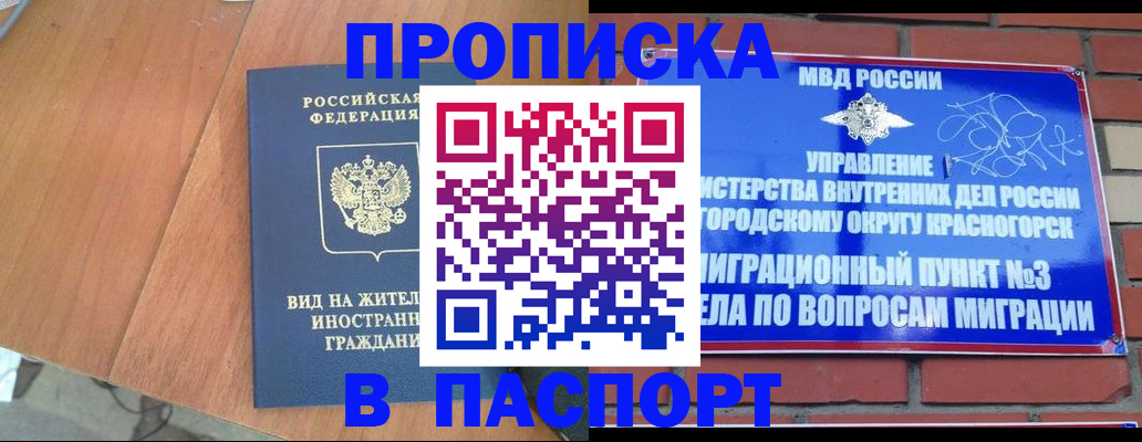 найти адрес прописки в Коркино